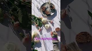 A Calm Morning Begins Here | soothingscript.com