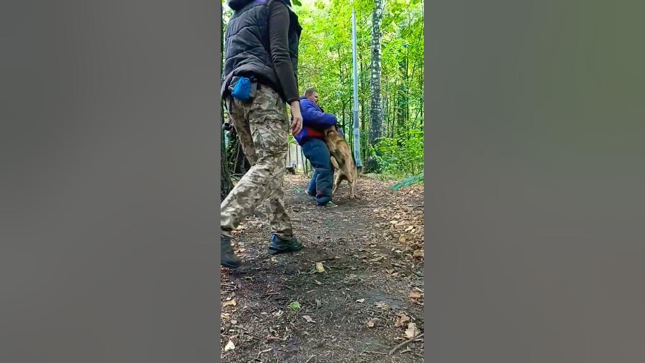 Канал бежит за незукт