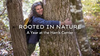 Rooted in Nature: A Year at the Harris Center