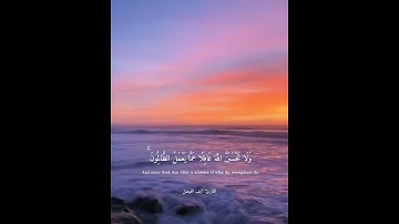 تلاوة خاشعة للقارئ نايف الفيصل من سورة إبراهيم الآية ( 42_43 )