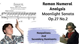 Beethoven's Moonlight Sonata Roman Numeral Analysis (Op 27. no.2) - 1st Movement (Harmonic Analysis)
