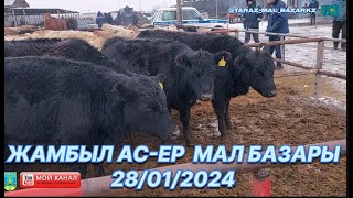 28 қаңтар 2024 Мал базар Тараз / Ірі қара бағалары / Mal Bazar ✅🇰🇿