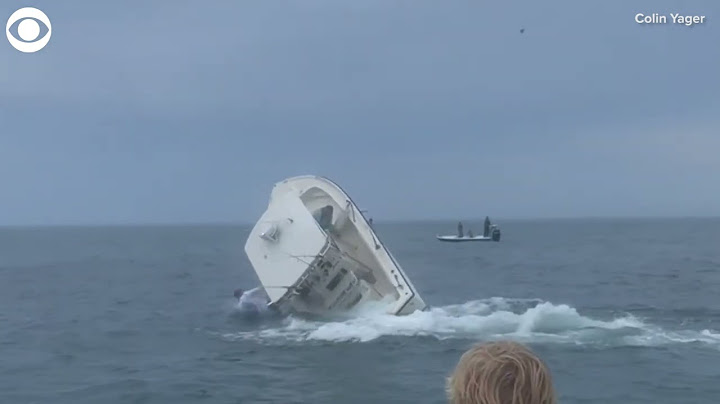 Whale capsizes boat off coast of New Hampshire