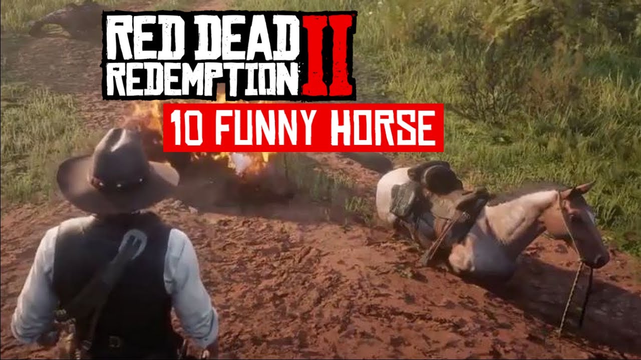 Red Dead Redemption 2 : 10 Funny Horse Videos - YouTube
