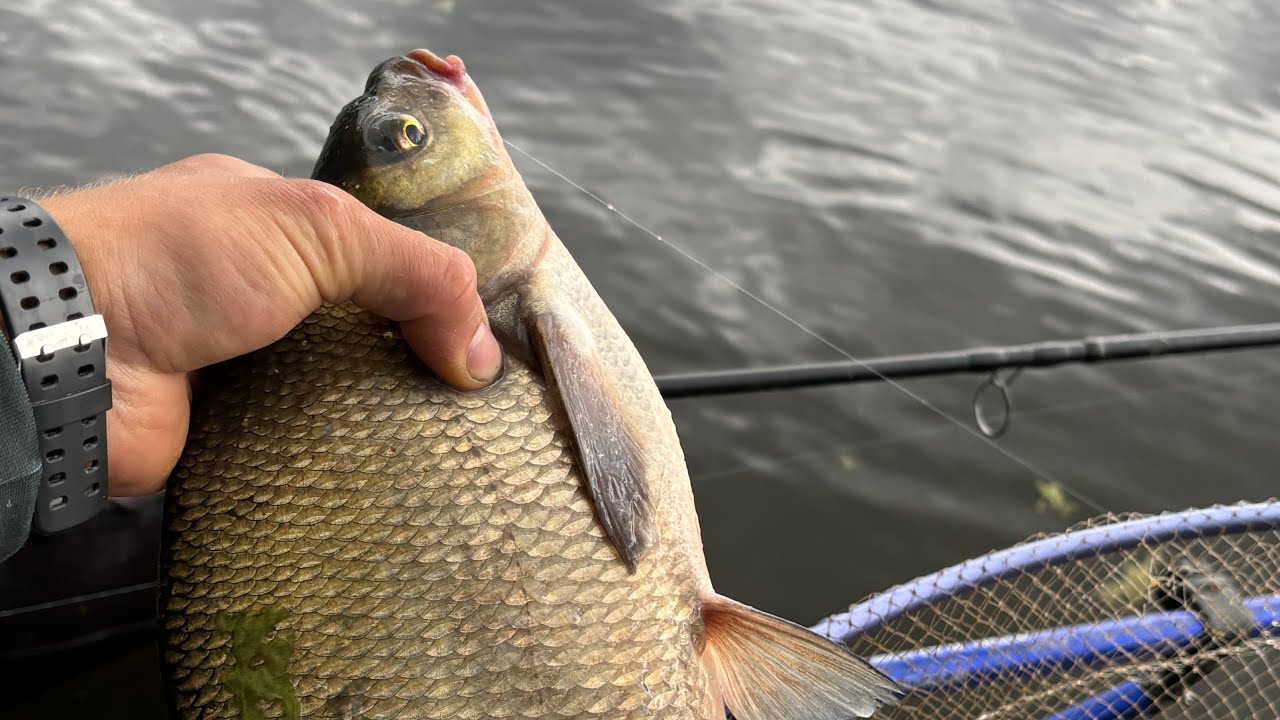 Žvejyba per škvala, sensas jaukai, bei vietos keitimas!!