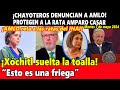 ¡Chayoteros denuncian a AMLO! Protegen a la rata Amparo Casar ¡Xóchitl suelta la toalla!