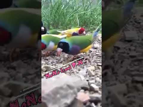 اللهم إنا نسألك صباحا يملأ الأجساد عافية والروح فرحا