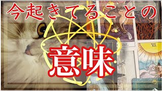 今あなたに起こっていることの意味と打開策【タロット占い】【因果応報】