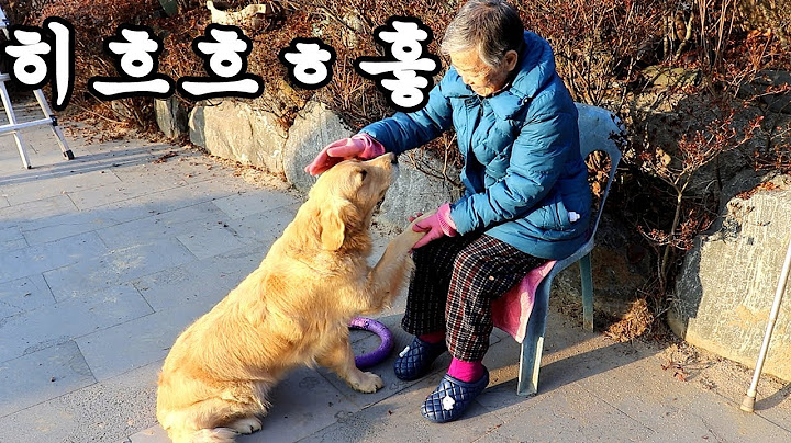 강아지 재롱에 웃음이 많아지신 할머니