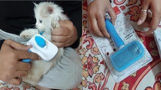 Aaj aa gaya sweetu ka Hair Brush | @Sweetupersiancat2024