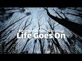 8Ball & MJG "Life Goes On" feat. Slim Thug (lyrics)