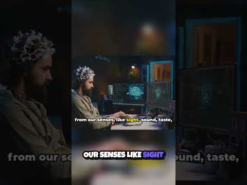 Information Processing Theory Explained