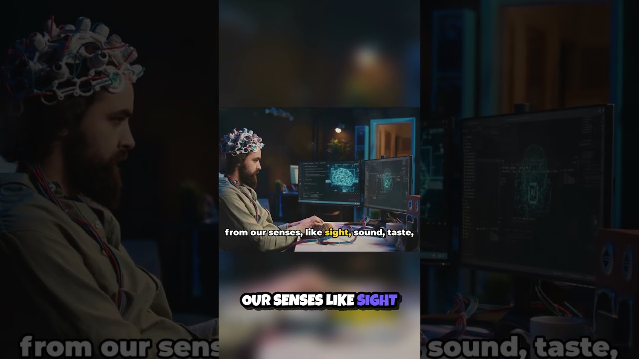 Information Processing Theory Explained