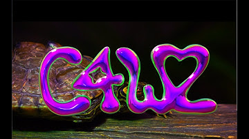 C4W2 - FWLO (prod by CBSM)