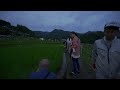 【4K Live】Saitama Terasaka Rice Terraces firefly and candle night