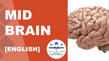 MId Brain [English] - Psych E-Pathshala
