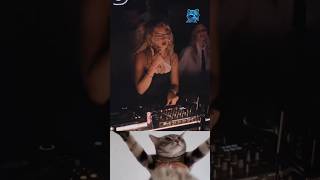 DJANE TECHNO DROP🔥💥👽 #BestDrops #techno #Catreaction #DjPerformance #Shorts