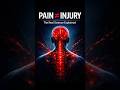 Pain Doesn’t Always Mean Injury | The Real Science of Pain Explained