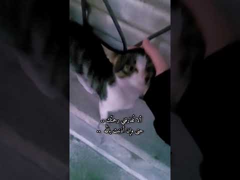 صدقة لمعلمي اللهم أجعل أجر هذه الصفحة في ميزان حسناته  قرآن