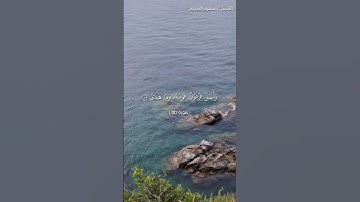 🌺القرآن الكريم 🌺ما تيسر من سورة طه