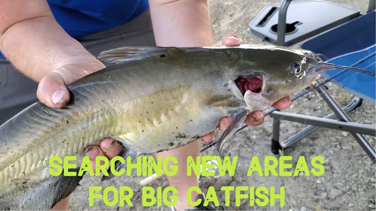 SEARCHING NEW AREAS IN HOPES OF BIG CATFISH SPILLWAY FISHING YouTube