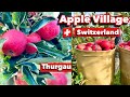 🇨🇭Apple Village In Switzerland ! Altnau , Thurgau | Apple Harvest , Apple Garden !