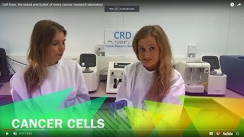 Cell lines: the bread and butter of every cancer research laboratory