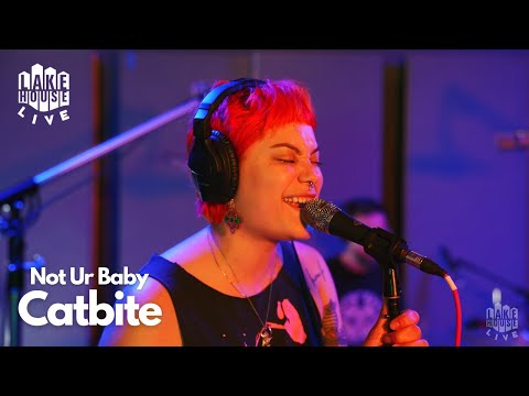 Catbite - Not Ur Baby (Live at Lakehouse Recording Studios)