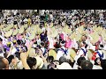 JAPAN Awaodori 2022 阿波おどり2022 元気となぜか涙が出る総踊り 8月13日