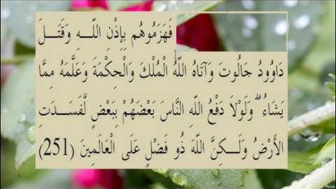 القران الكريم سورة البقرة الاية  251