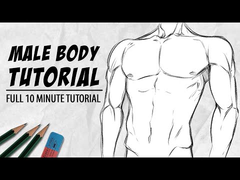 فيديو: كيفية رسم جسم الذكر