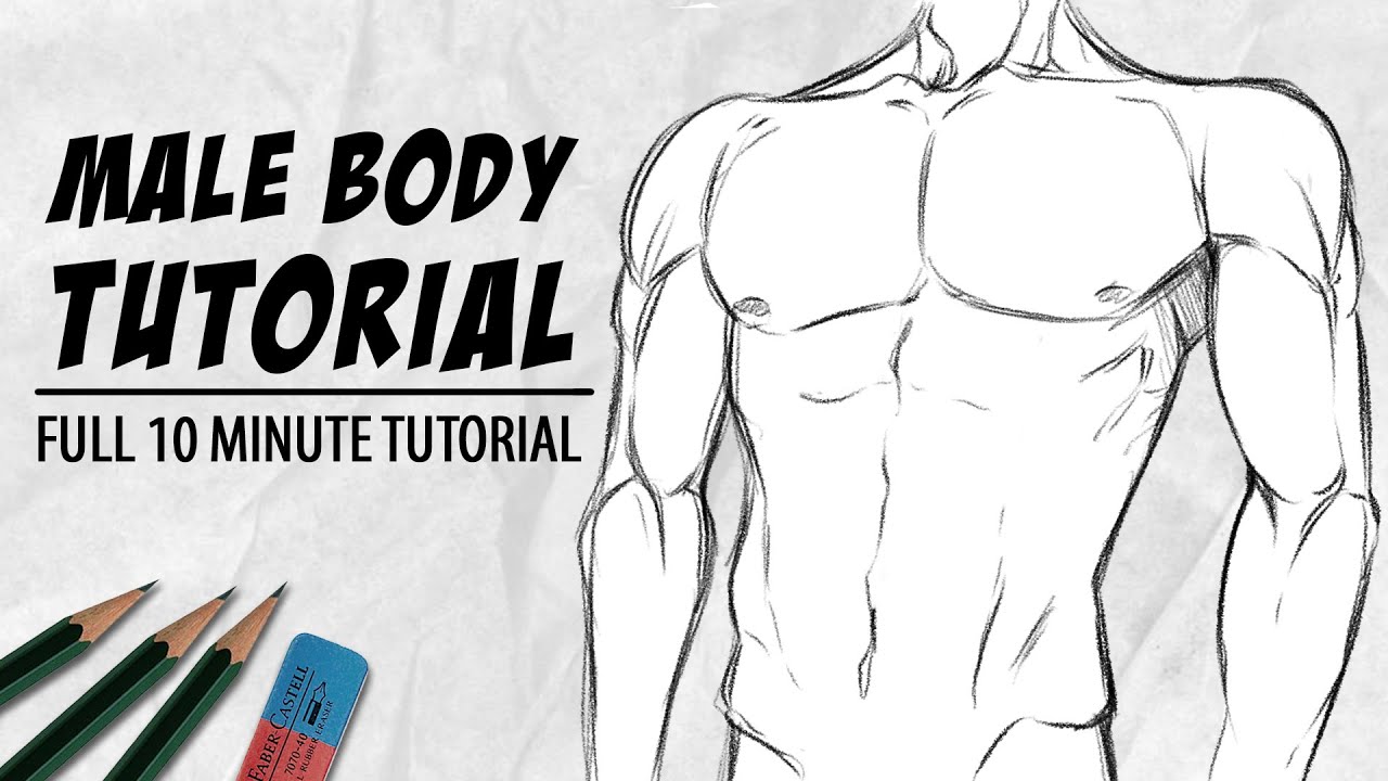 How to Draw a Body (Male & Female) Step-by-Step Guide