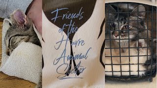 Friends of the Havre Animal Shelter in Havre, Montana