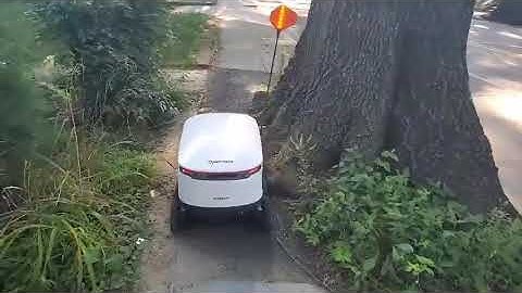 Delivery Robot Gets Stuck While Moving on Sidewalk - 1132471