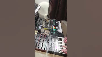 Behringer Grind Bass Monster- JD-08 - SH-01A - Roland P6 Sampler Drums #synthwave #synthpop #music