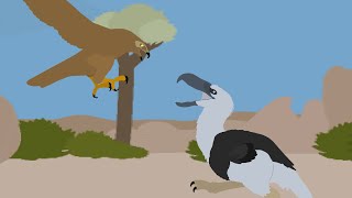 Career Overview Haast eagle vs kelenken