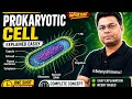 Prokaryotic Cell Explained Easily | Class 11 Biology | NEET