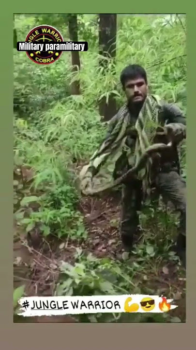 Cobra commando snake training in jungle #nsg #indianarmy #paramilitary #indianarmedforces #paramilit