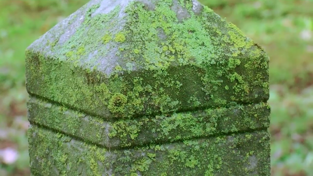 Local Cemetery Conservation: How to safely clean a Cemetery Monument
