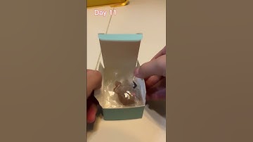 Fidget toy Advent Calendar - - Day 11 #shorts #asmr