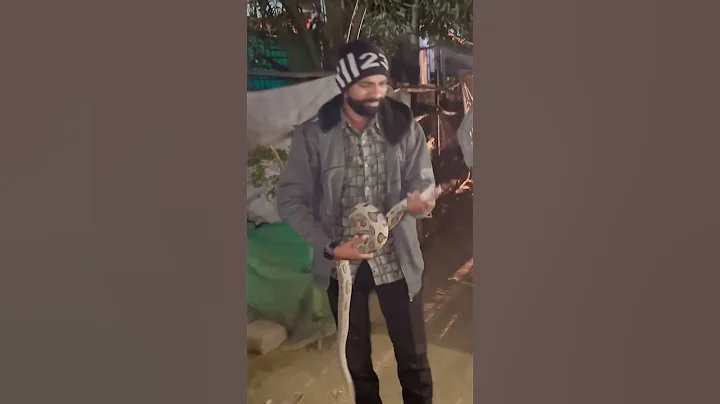 Russell's viper snake bite | Don't do this mistake ☠️ #shorts #viral