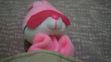 Raspberry Pi Speech Synthesis - Talking Clock with My Bunny