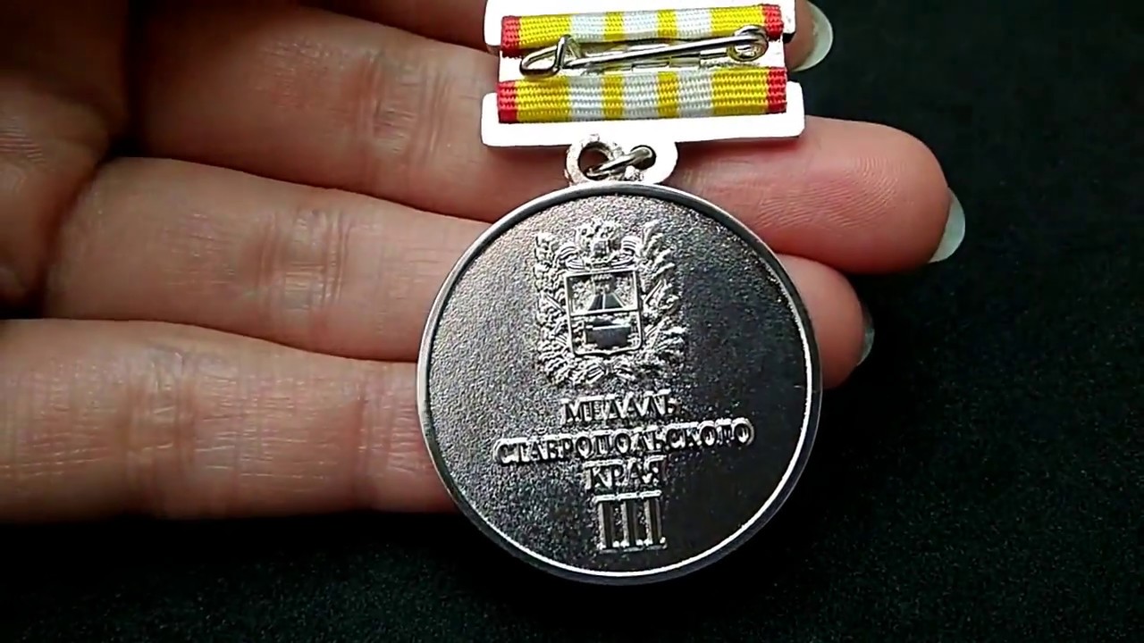 и. медаль за доблестный труд ставропольского края. медаль за доблестный труд 1 степени. за доблестный труд 3 степени. за доблестный труд 3 степени.