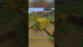 Minecraft Manhunt Tips