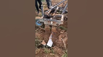 Automatic onion harvesting process