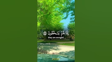 #سورة_التوبة #القرآن_الكريم #اكسبلور