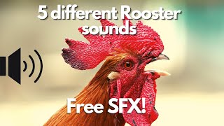 5 Different Rooster Sounds -Hd- -Hq- Free Sound Fx Sound Effect. Sfx