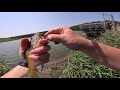 HIKE & FISH Gamehaven Reservoir in Rochester MN!