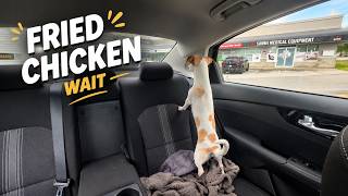Karen is Waiting for the Fried Chicken