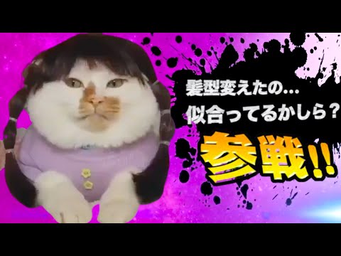 ヤバ過ぎネッコ全員参戦！！part37